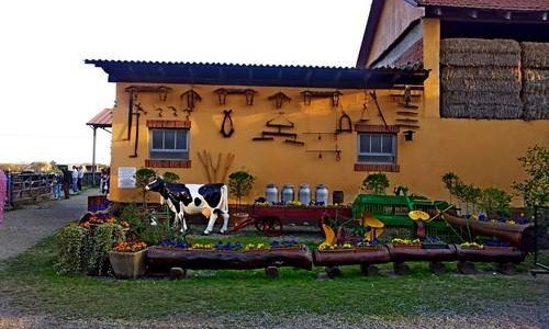 Uscita didattica di fine anno alla “Fattoria del Gelato”