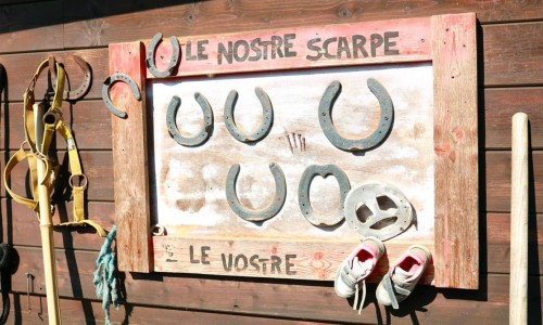 Uscita didattica autunnale all’Azienda Agricola “Erika Bussolino”
